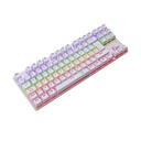 Teclado T DAGGER BORA WHITE TIPO RGB MECANICO SWITCH DUST-PROOF RED LATINO (T-TGK313W-RD) (6950376710185)